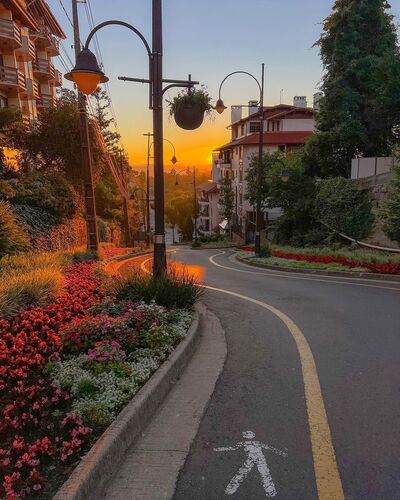 Pacote de viagem para Gramado